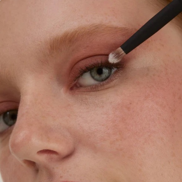 Lithe Beauty Everyday Essentials Brush Set BNIP - Picture 11 of 15